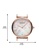 Emporio Armani gold Watch AR11385 5E056AC814CD91GS_6