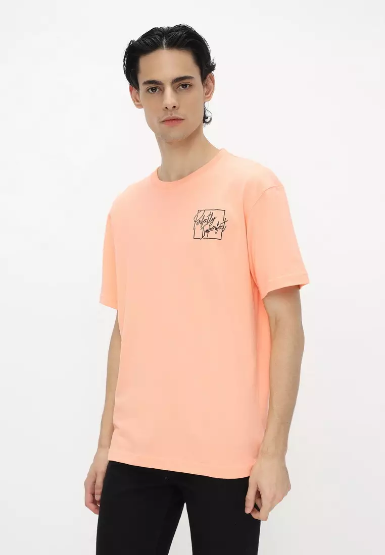 NX T-Shirt Cotton Combed Tebal Sablon Bordir Pria 207370331