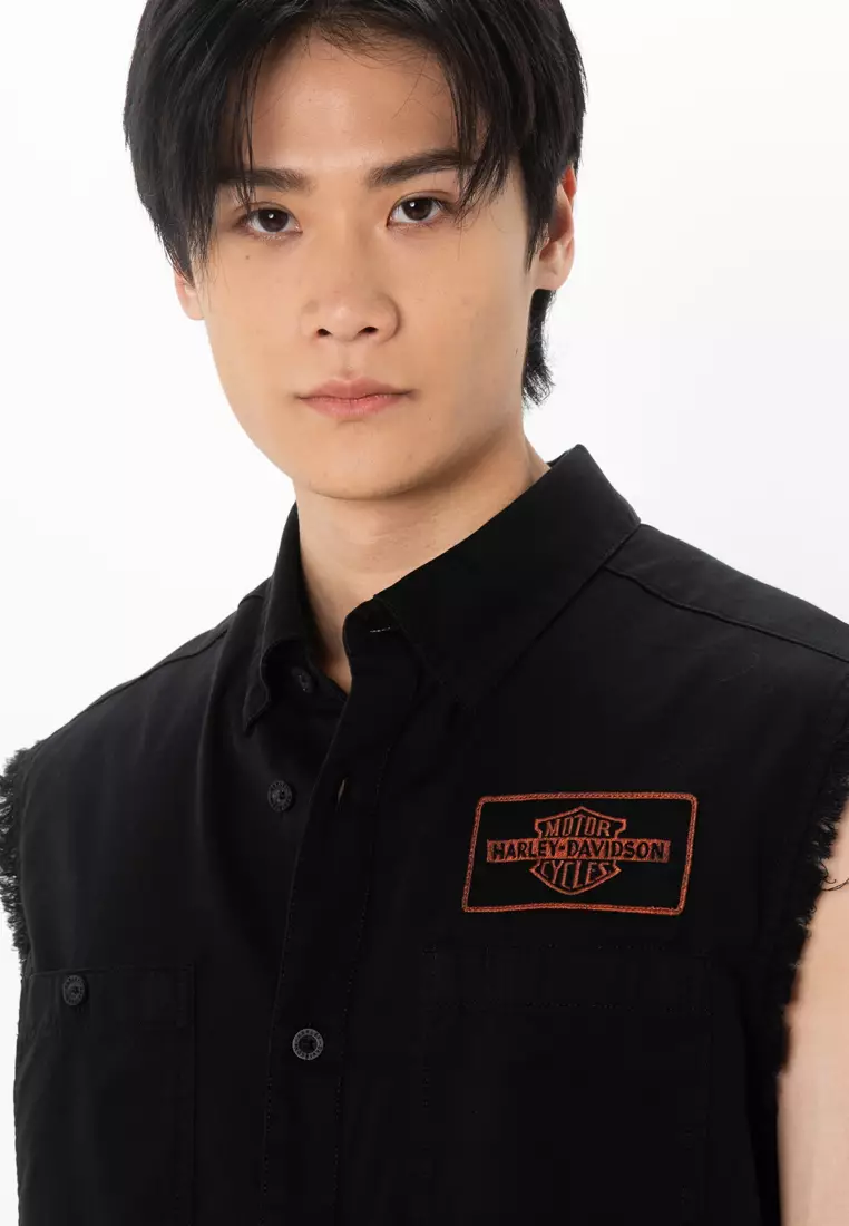 Harley-Davidson®V-Twin Equipped Solid Blowout