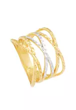 Yellow, Rose and White Gold (4.50G)