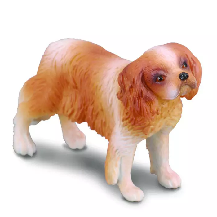 Collecta Figure Cavalier King Charles Spaniel 88181
