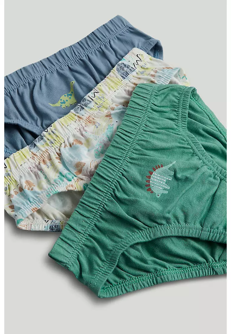 5 Pack Dinosaur Briefs