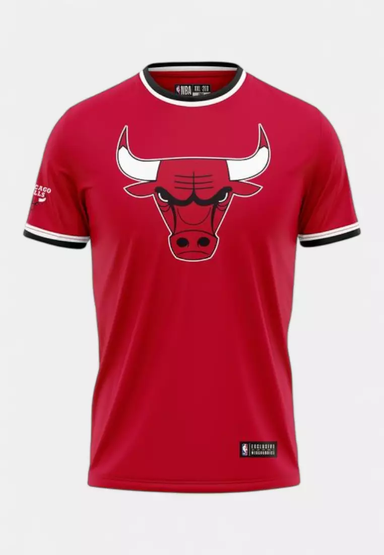 Chicago Bulls Basketball Warm up Jersey for Kids Core Collection