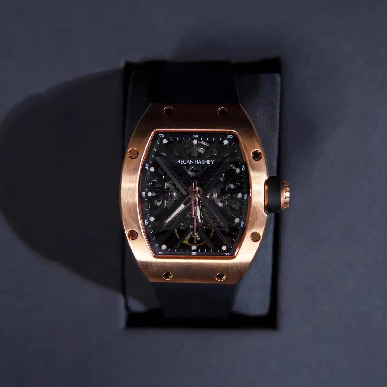 Jam Tangan REGAN HARNEY RH 84-11 GENESIS FORGED TITANIUM WATCH 100% ORIGINAL - OS