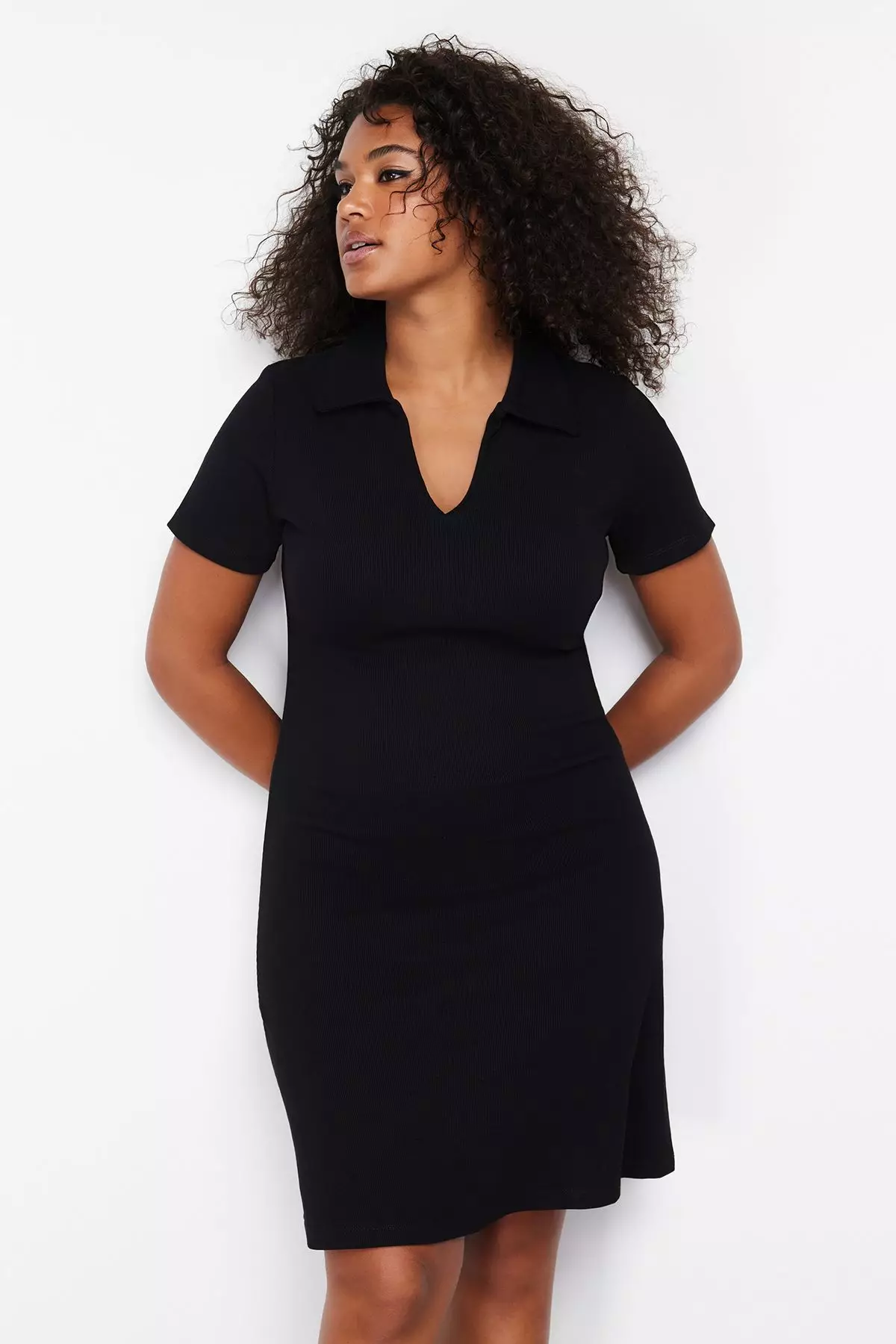 Plus Size Polo Neck Dress