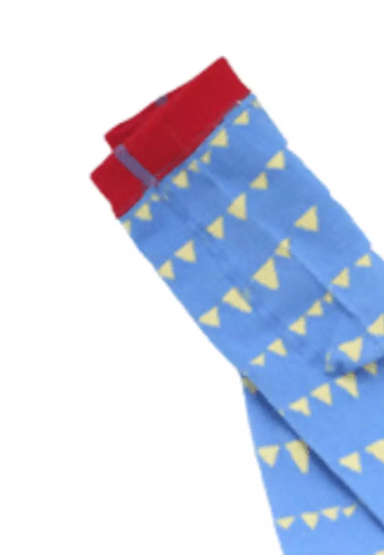 Findawn Socks Blue