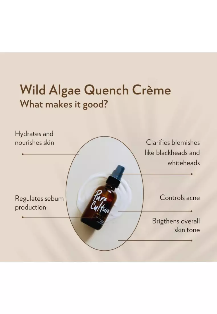 Wild Algae Quench Créme 30ML | Moisturizer for Oily Face | Niacinamide | For Oily Skin Hydration