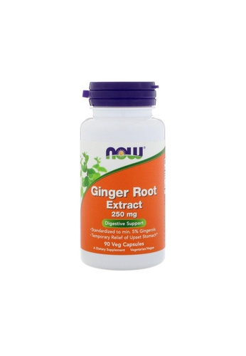 Now Foods Now Foods, Ginger Root Extract, 250 mg, 90 Veg Capsules B1230ESAA93167GS_1