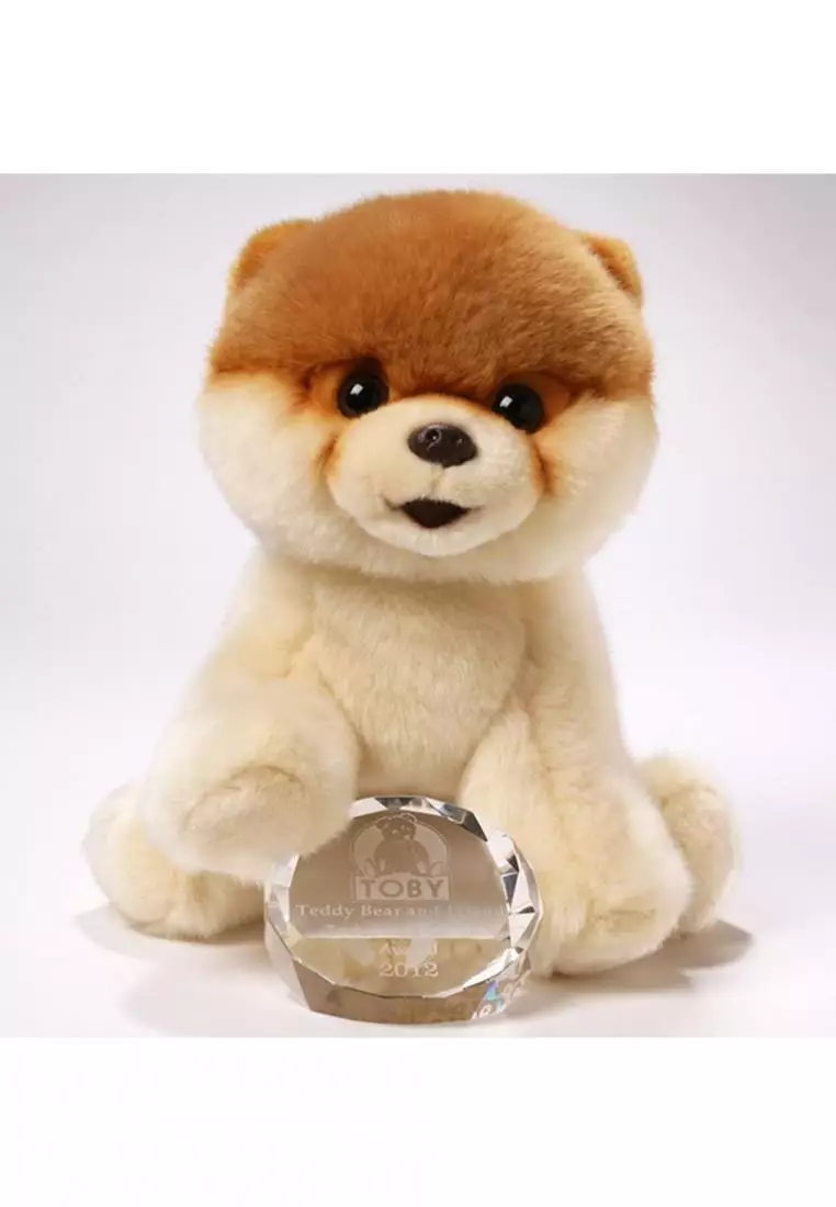 Buy GUND Boo The World Cutest Dog 9