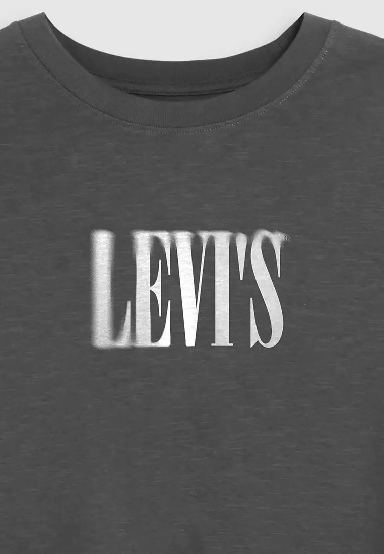 Levi's® Men's Relaxed Fit Short-Sleeve Graphic T-Shirt (16143-2524)
