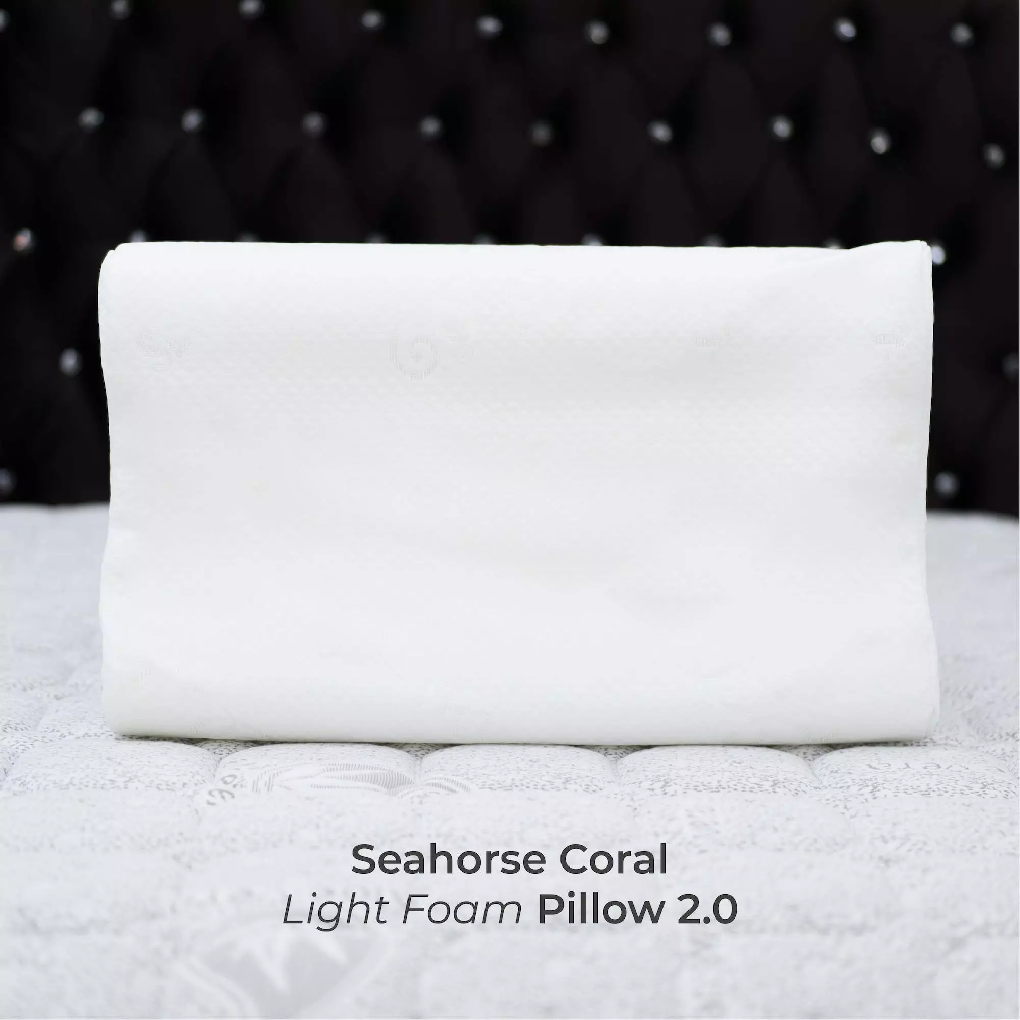 Seahorse deals foam pillow