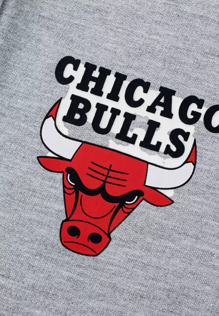 Chicago Bulls Basketball Shorts for Men Core Collection