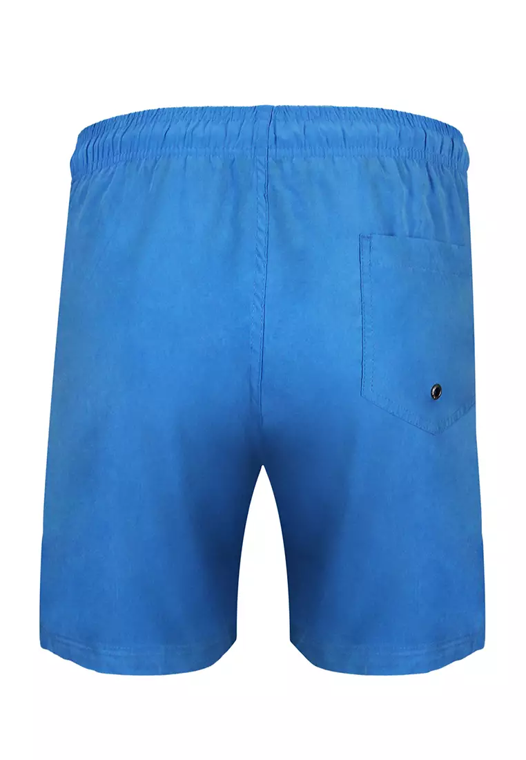Buy Island Haze Dive Free Swim Shorts Mens Swimwear 2023 Online