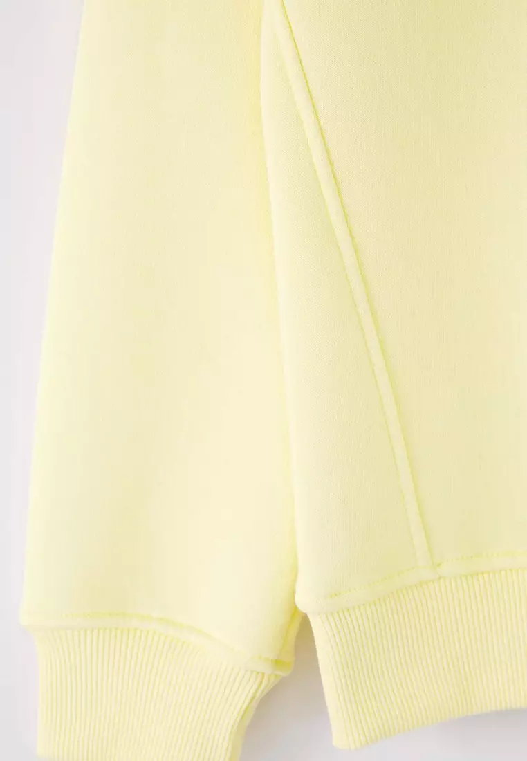 Yellow Regular Cut Stand Collar Zippered Cotton Basic Fleece Inside Sweatshirt Tmnaw24Sw00041