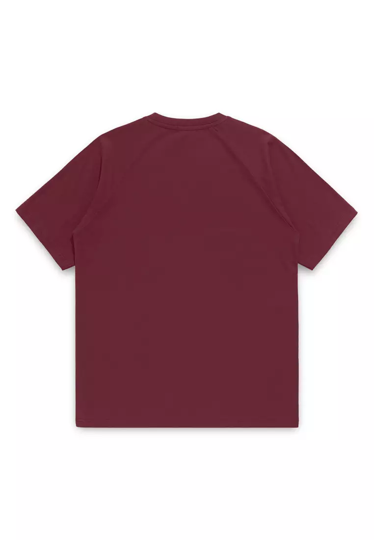 Raglan Cut & Sew Relaxed Fit Tee- Maroon