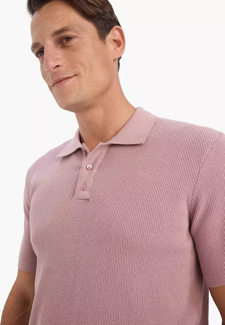 Standard Fit Knit Polo Shirt
