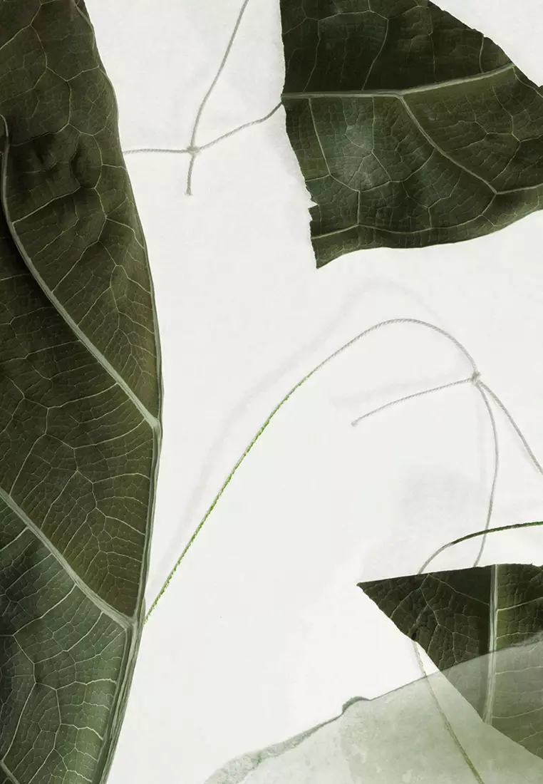 Arabesque Wood Hand Lotion