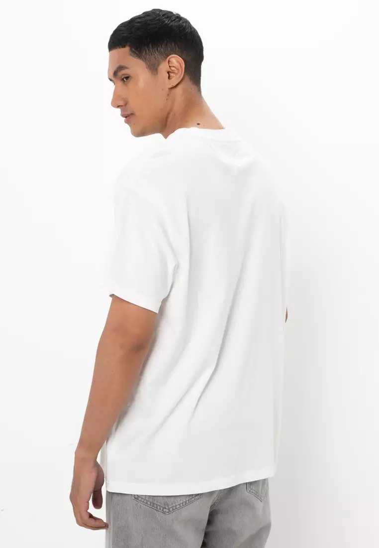 Paisley Flag T-Shirt