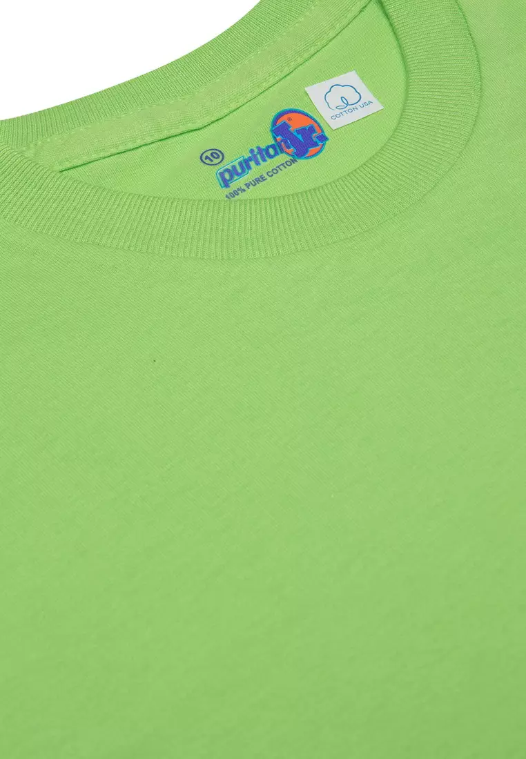 Buy Puritan Boy's Colored T-Shirt Single Pack Apple Green 2024 Online ...