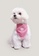 OXGN pink Generations Pet Bandana With Embro 49953ES477FB3CGS_1