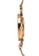 Milliot & Co. gold Bena Mesh Bracelet Watch CEB93AC0457EC9GS_3