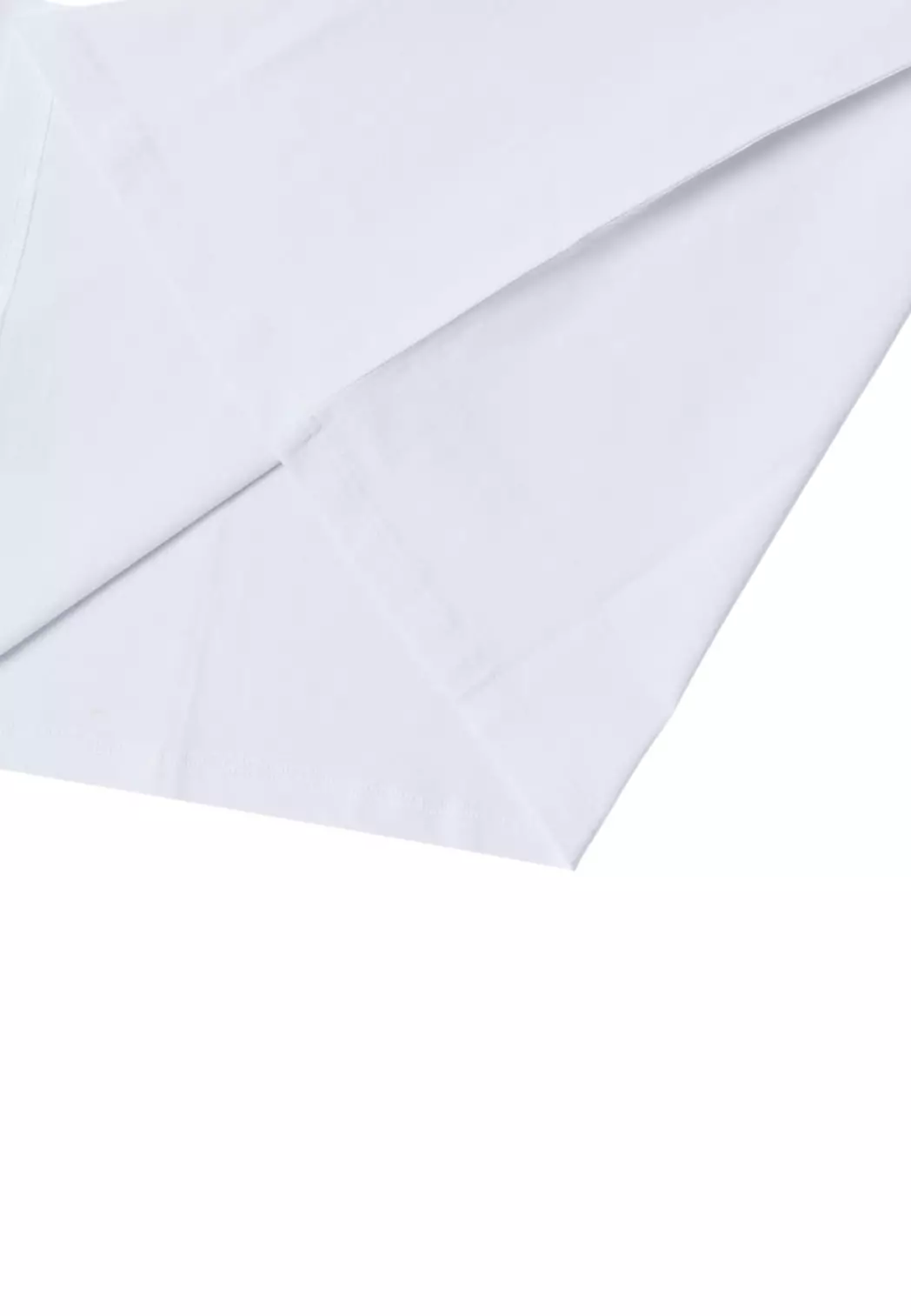 Gold Big Radog Short Sleeve Tshirt - White