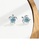 Glamorousky white 925 Sterling Silver Fashion Cute Blue Turtle Stud Earrings with Cubic Zirconia DABBAAC285195EGS_4