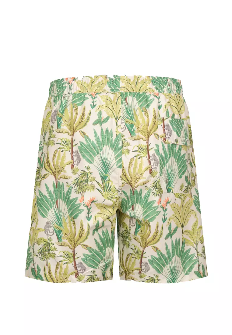 Multıcolor Shorts, Regular Leg, Swimwear for Men