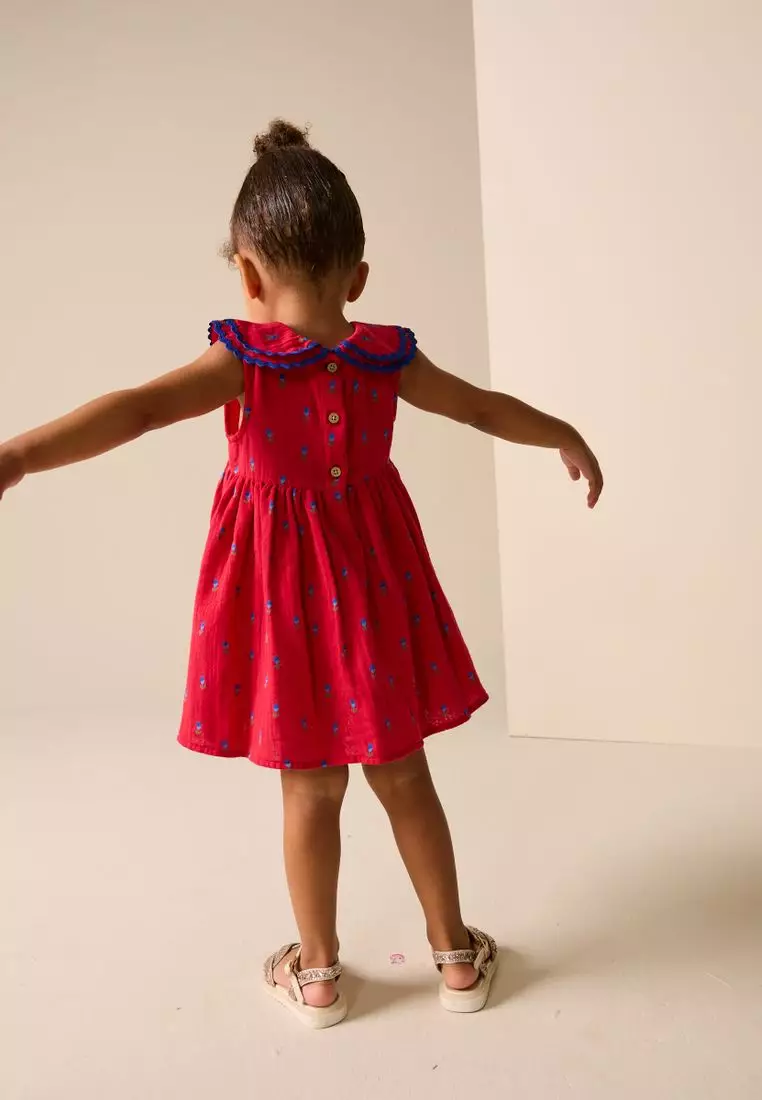 Ric Rac Collar Dress