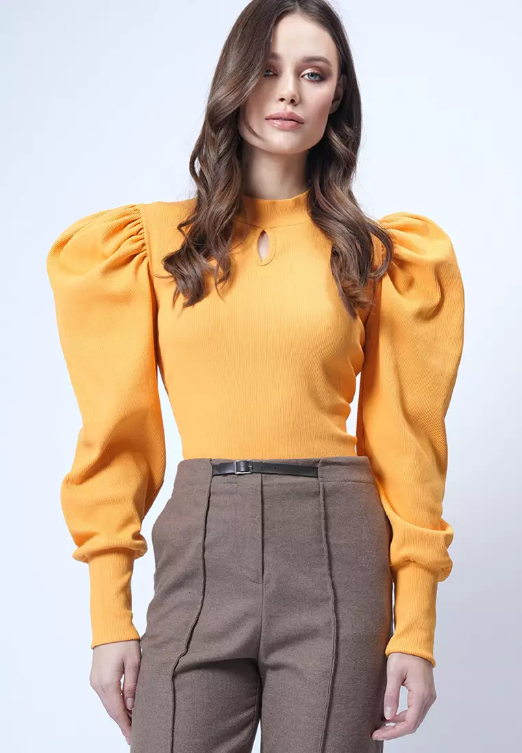 Long Puff Sleeves Top