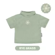 Rye Grass