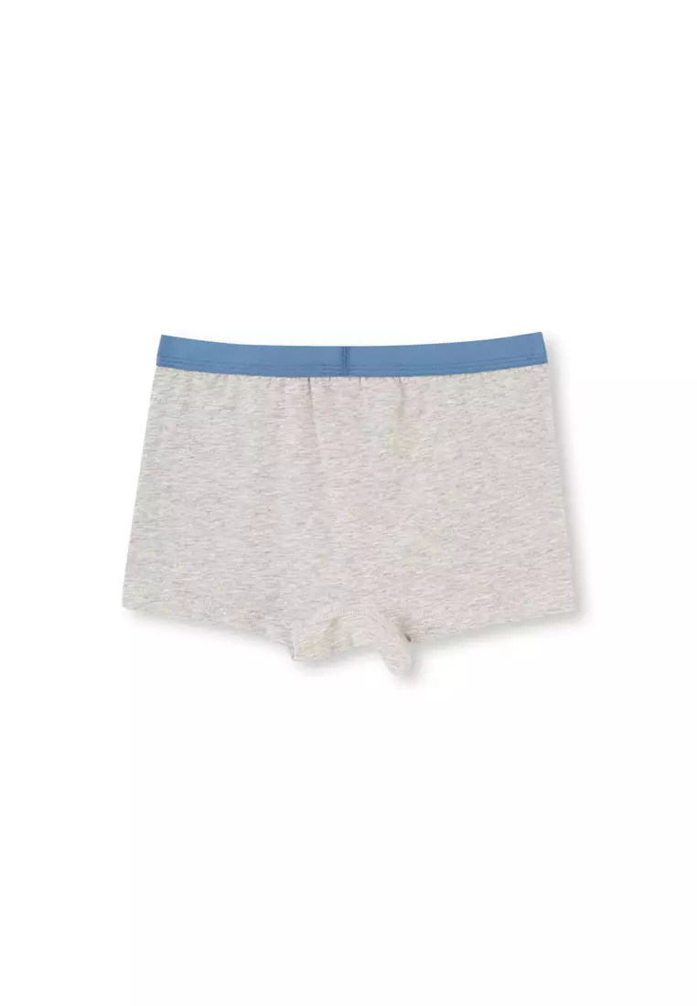 DAGİ 2 Pack Blue-Grey Melange Boxer, Underwear for Boys 2024