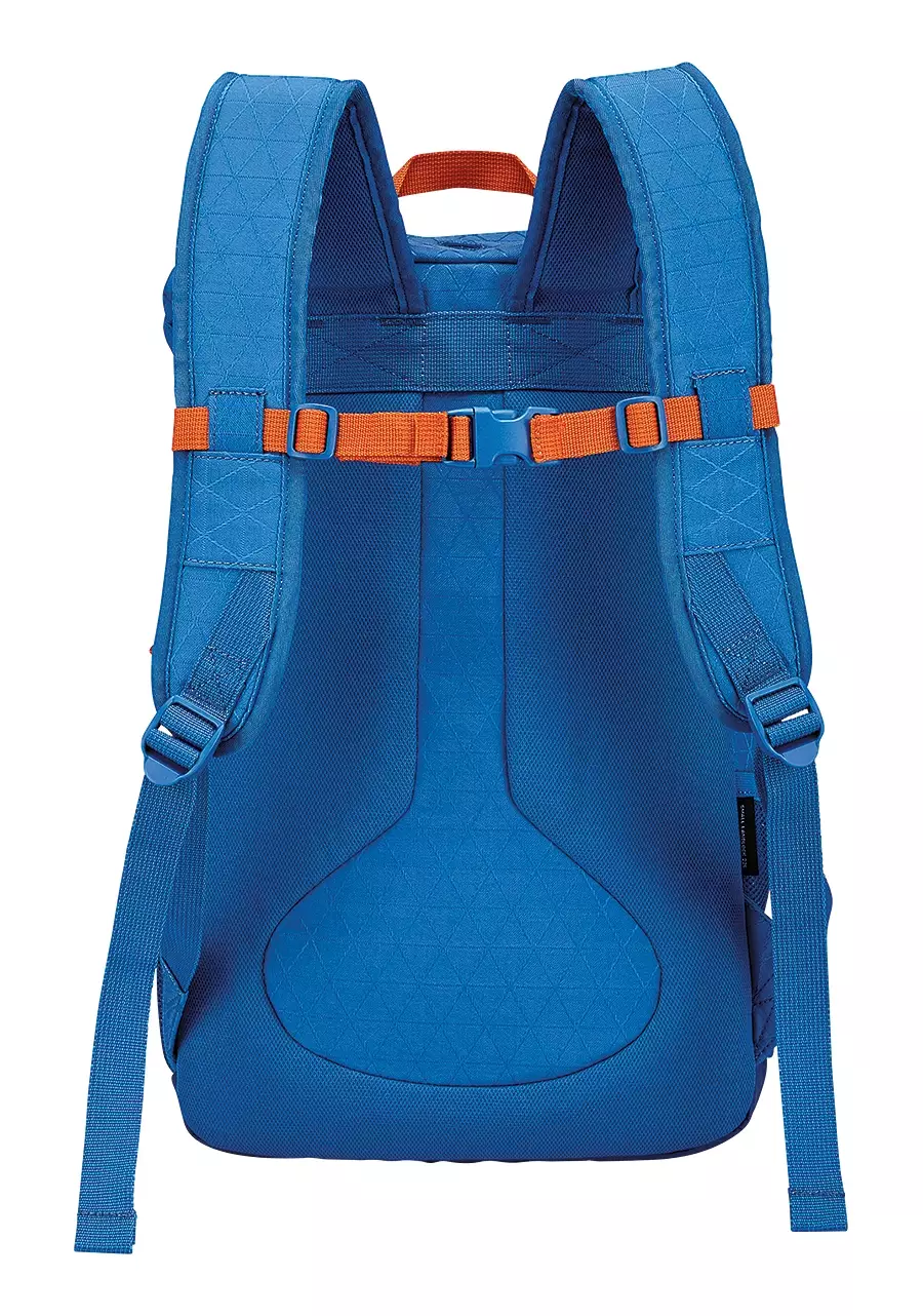 NIXON BACKPACK-SMALL LANDLOCK BACKPACK VIVID BLUE-C22562421