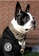 Kiloninerpets black and white Dog And Crossbones mini Black- Morale Patch 80F08ESC4A99ECGS_5