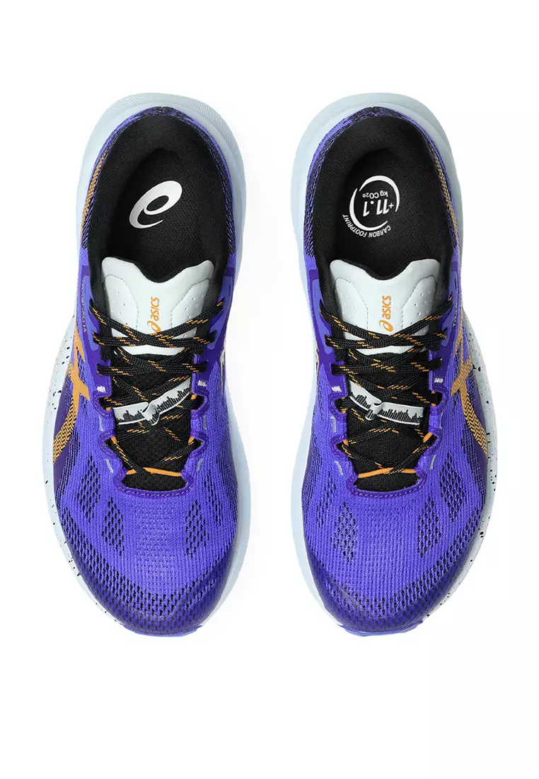 Asics Men Trabuco 14 Standard-1011C166.400