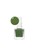 Holika Holika green Holika Holika Piece Matching Nails Lacquer - GR02 Pistachio 15162BE7301C1BGS_1