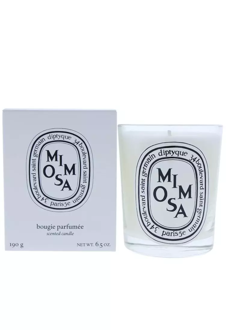 diptyque MIMOSA キャンドル 190g Buy Diptyque DIPTYQUE Mimosa Candle 190g 2026 Online | ZALORA