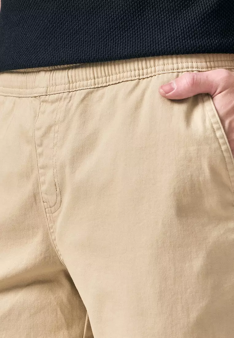 Regular Fit Pull Up Shorts