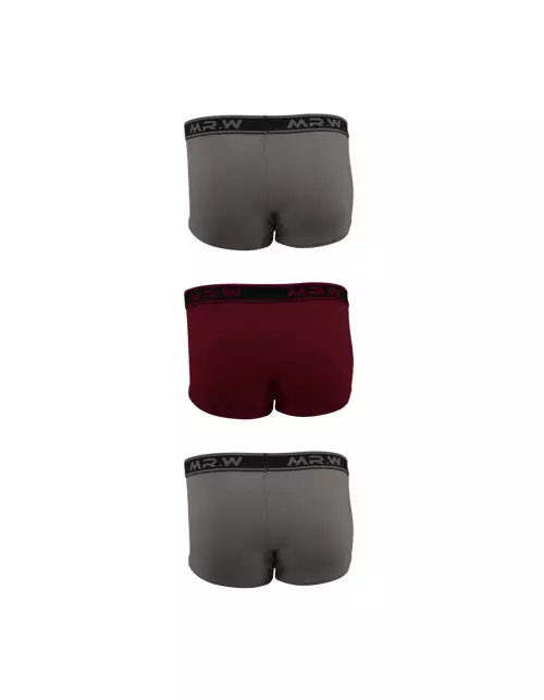 MR. W Mens Boyleg 3 Pcs WMP 73119B - Bamboo
