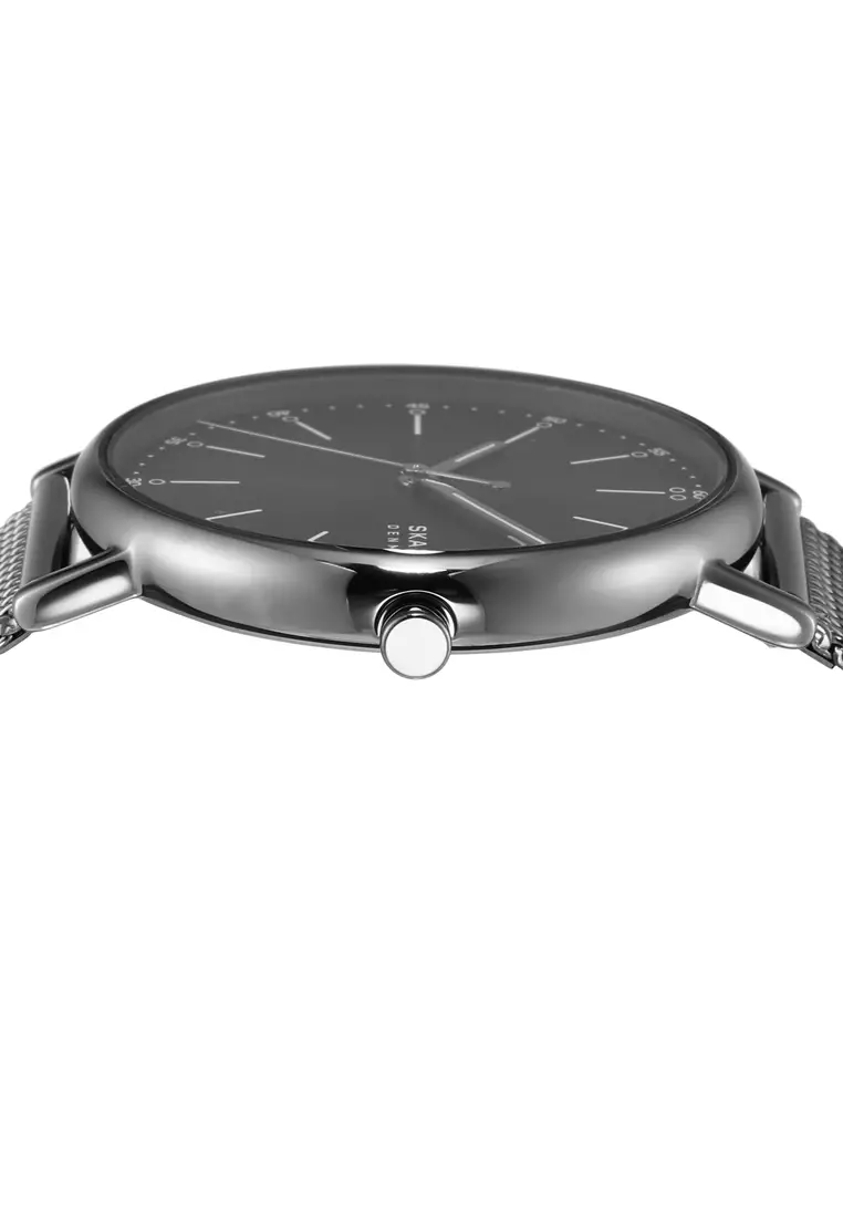 Skagen watch and online bracelet set