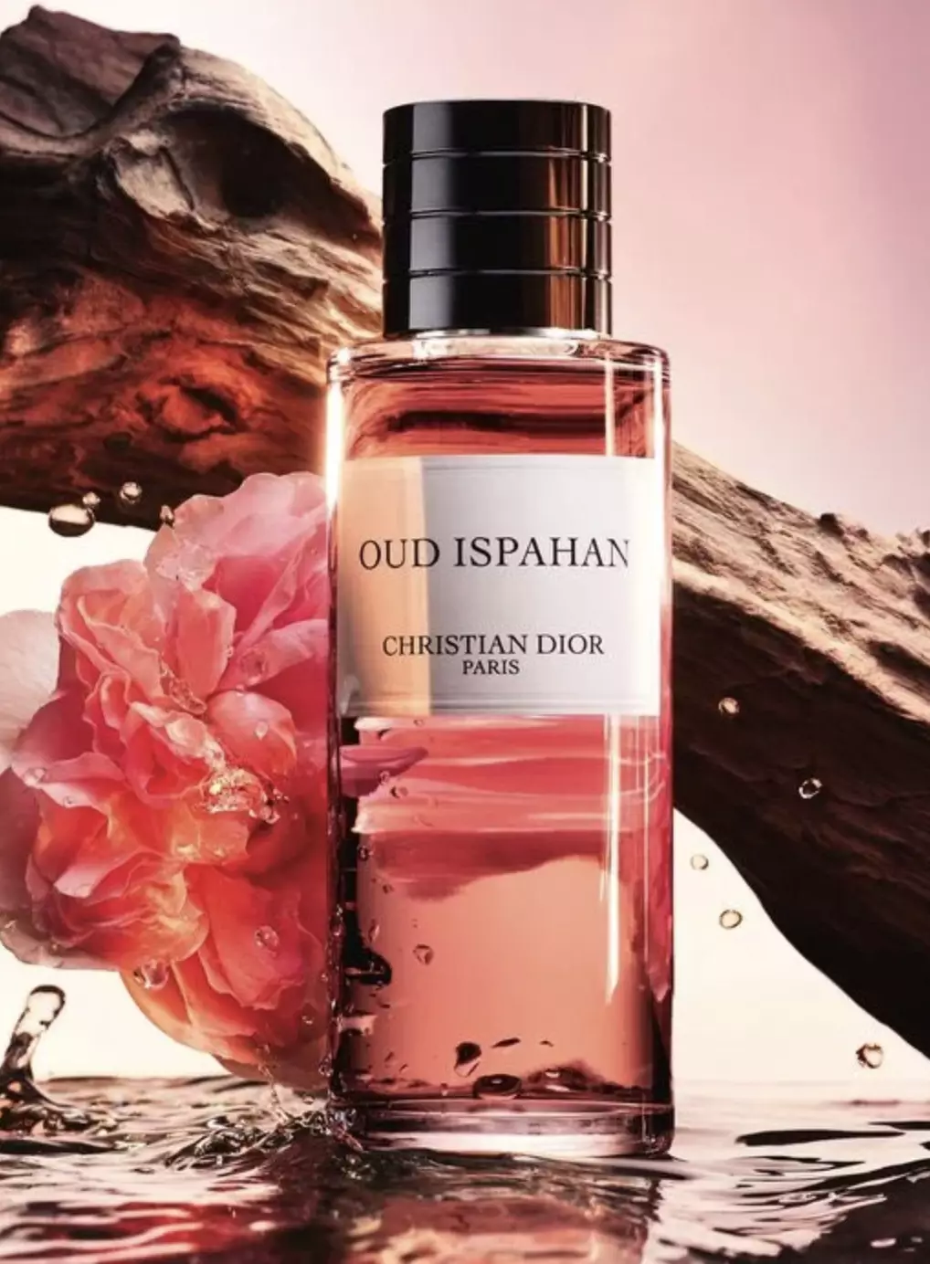 Dior oud ispahan 40ml new arrivals