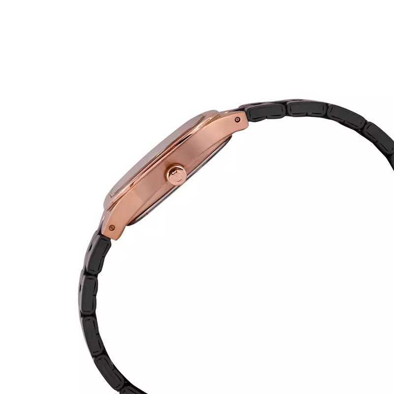 Jam Tangan Wanita Alexandre Christie Passion AC 2B53 LD BBRDG Ladies Black Dial Black Stainless Steel Strap