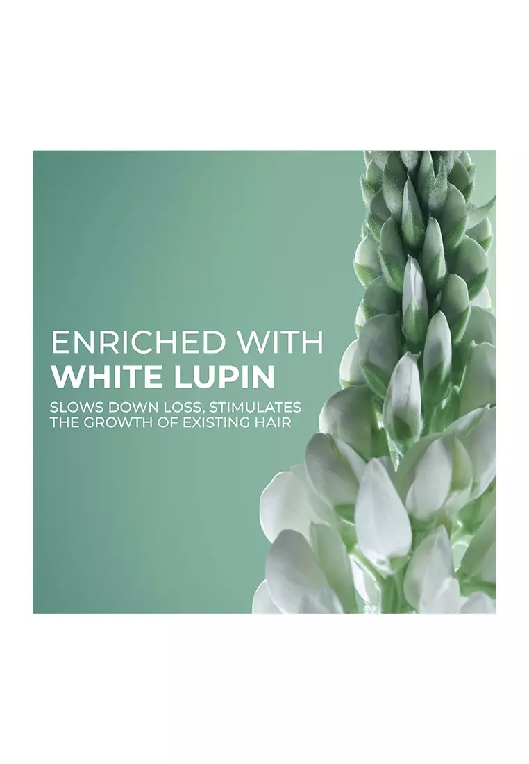 Anti Hair Loss Fortifying Shampoo with White Lupin - 300ml for Stronger, Thicker Hair