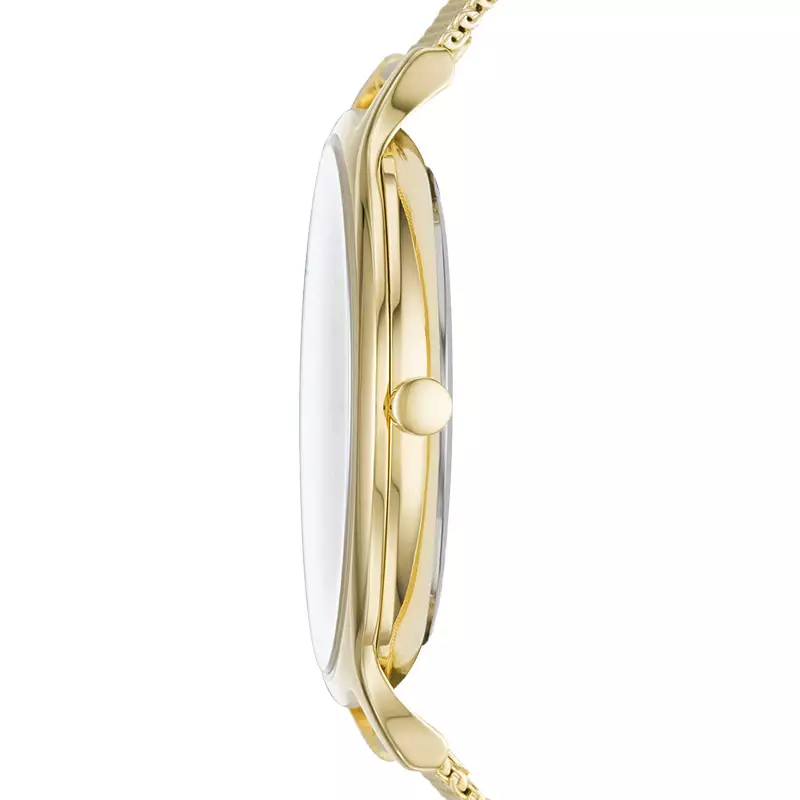 Jam Tangan Wanita Skagen Anita SKW2774 Mother of Pearl Dial Gold Mesh Strap