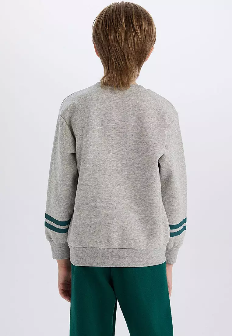Crew Neck Printed Thick Sweatshirt