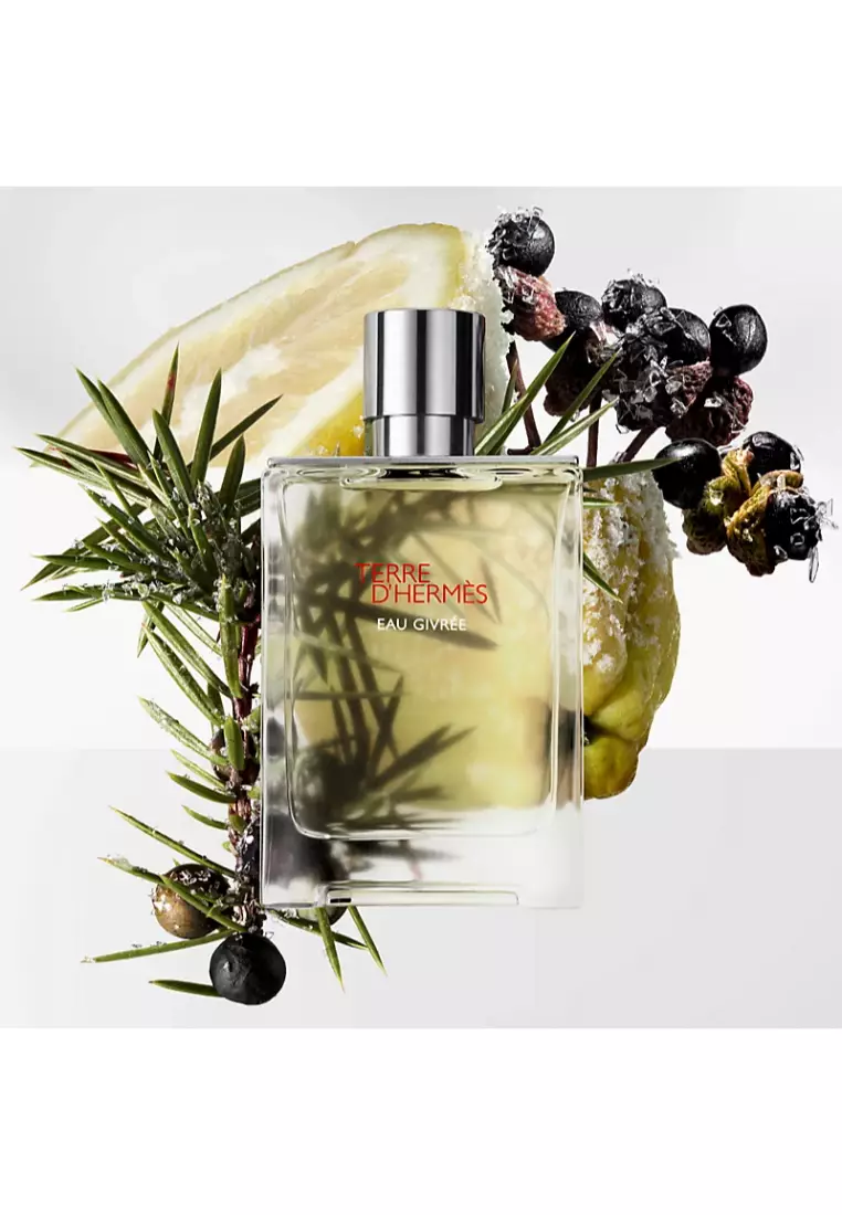 Buy Hermes Hermes - Terre D'Hermes Eau Givree Eau De Parfum 100ml