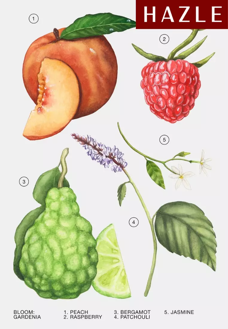 Zara Gardenia Woman EDP 90 ml