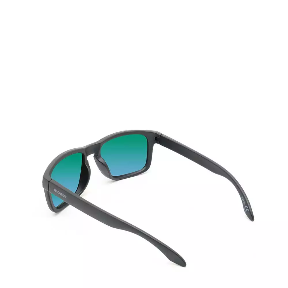 Eiger Vision Sunglasses