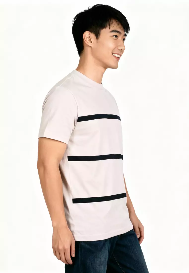 Asher Stripe Crew Neck Tee