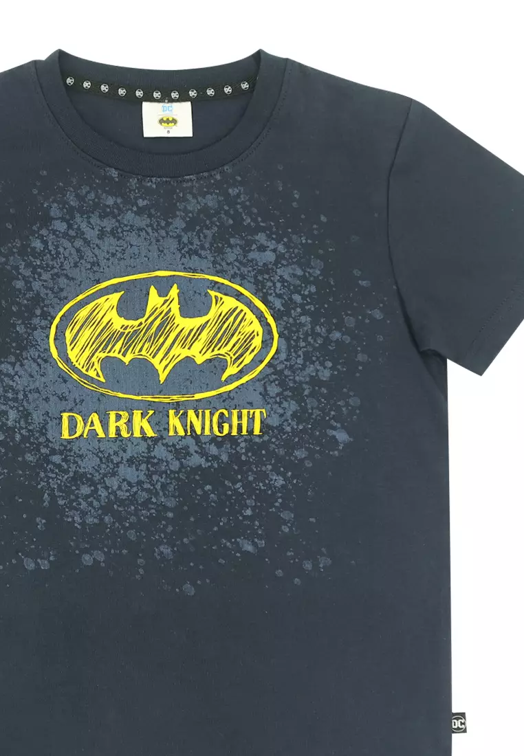 Boys Licensed Graphic Logo T-Shirt